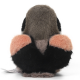 Jooki Bird Long-tailed Shrike Plush Toy