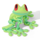 3D Printed Magnetic Frog Refrigerator Magnet - Summer