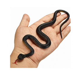 25cm Realistic Plastic Tricky Toy Fake Snakes Garden Props Joke Prank Halloween Horror Toys for Adults PP Plastic Snake Toys