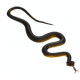 25cm Realistic Plastic Tricky Toy Fake Snakes Garden Props Joke Prank Halloween Horror Toys for Adults PP Plastic Snake Toys