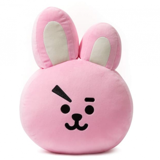 BT21 Line Friends Cooky Decorative Throw Pillow Cushion 11 Inch 30cm BT21 Line Friends Cooky Decorative Throw Pillow Cushion 11 Inch 30cm
