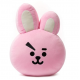 BT21 Line Friends Cooky Decorative Throw Pillow Cushion 11 Inch 30cm BT21 Line Friends Cooky Decorative Throw Pillow Cushion 11 Inch 30cm